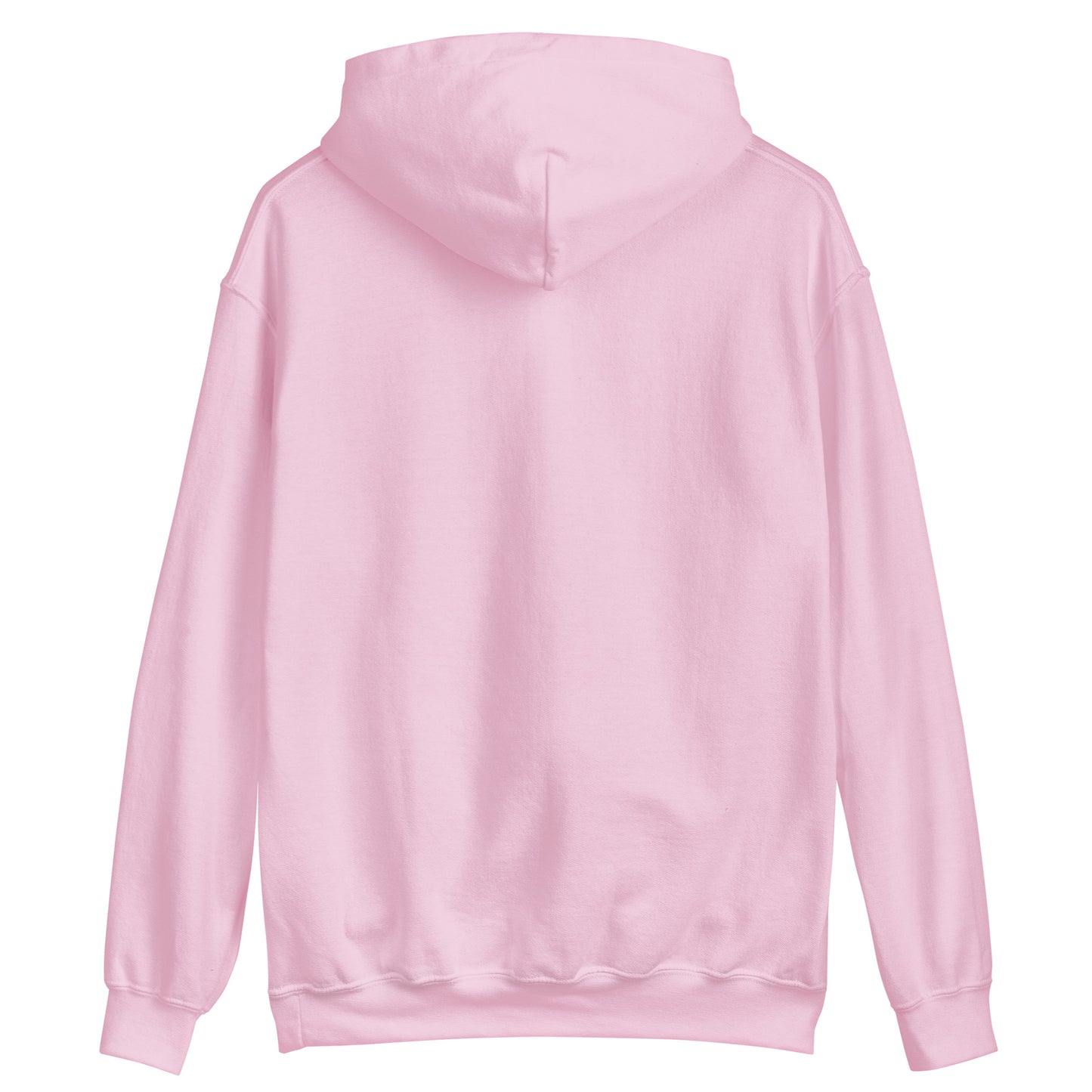 I don't gamble, I win Hoodie